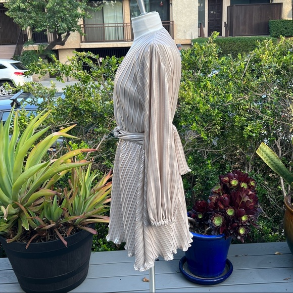 BARDOT Pleated Dress Champagne Color Ballon Sleeves Belted Size 4 - Picture 3 of 8